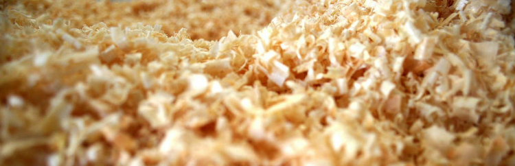 Sawdust Toilets - The ultimate guide